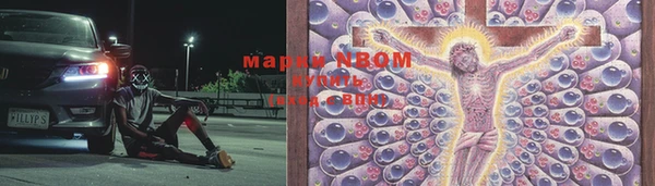 крисы Балахна