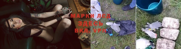 крисы Балахна